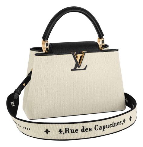 louis vuitton capucines misure|louis vuitton capucine bag.